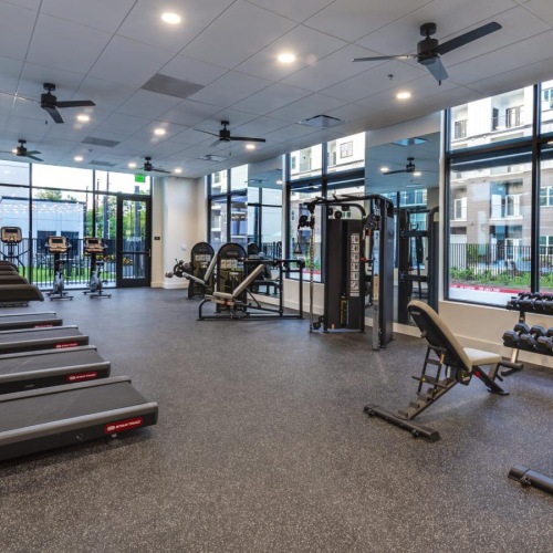 a gym with exercise equipment